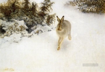 Rabbit Bunny Hare Painting - Winter Hare